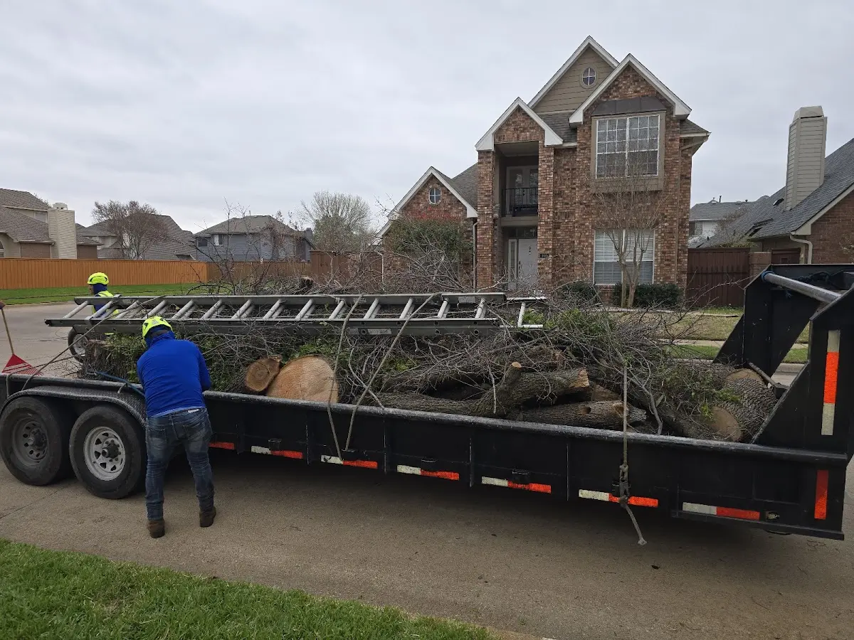 Expert Crown Reduction with proper safety equipment in Prairieville